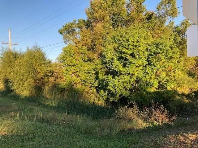 TBA S Hwy 165, Alexandria, LA 71301 - #1