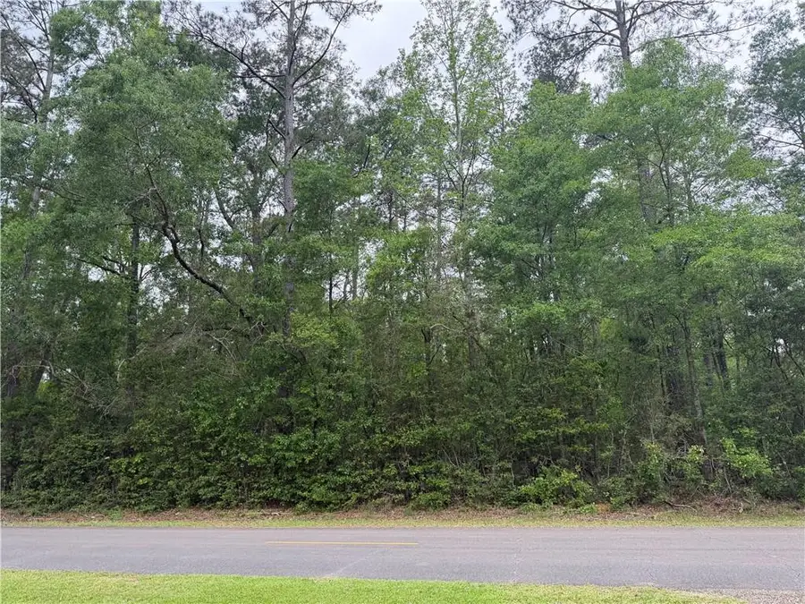 TBD W Saint Charles Avenue, Loranger, LA 70446 - #3