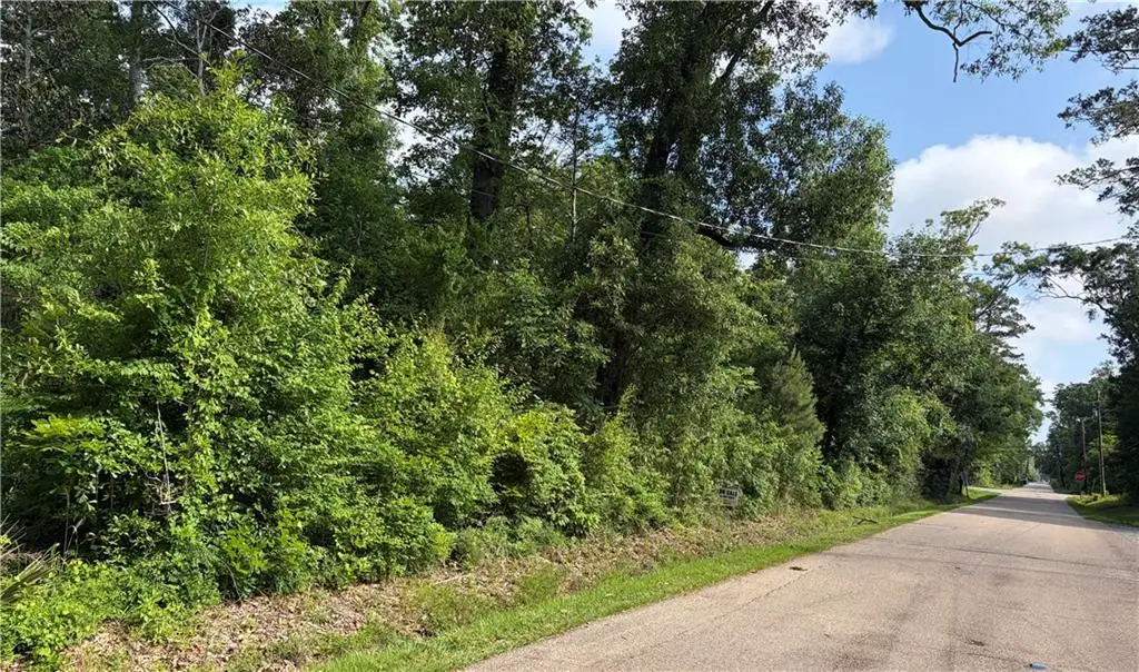 Lot 9-A Albert Street, Mandeville, LA 70448 - #1
