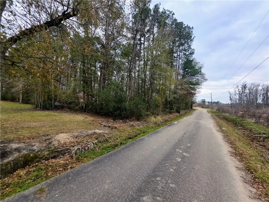 38786 Landry Lane, Ponchatoula, LA 70454 - #3