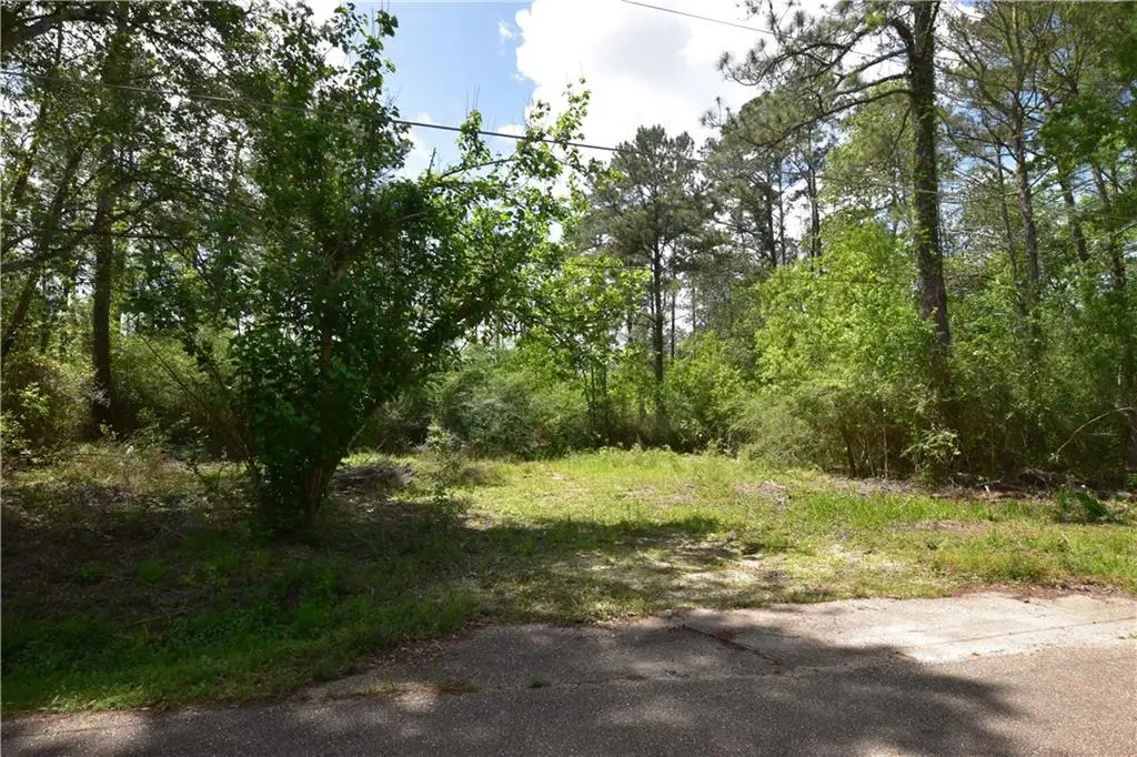 36151 Central Avenue, Pearl River, LA 70452 - #1