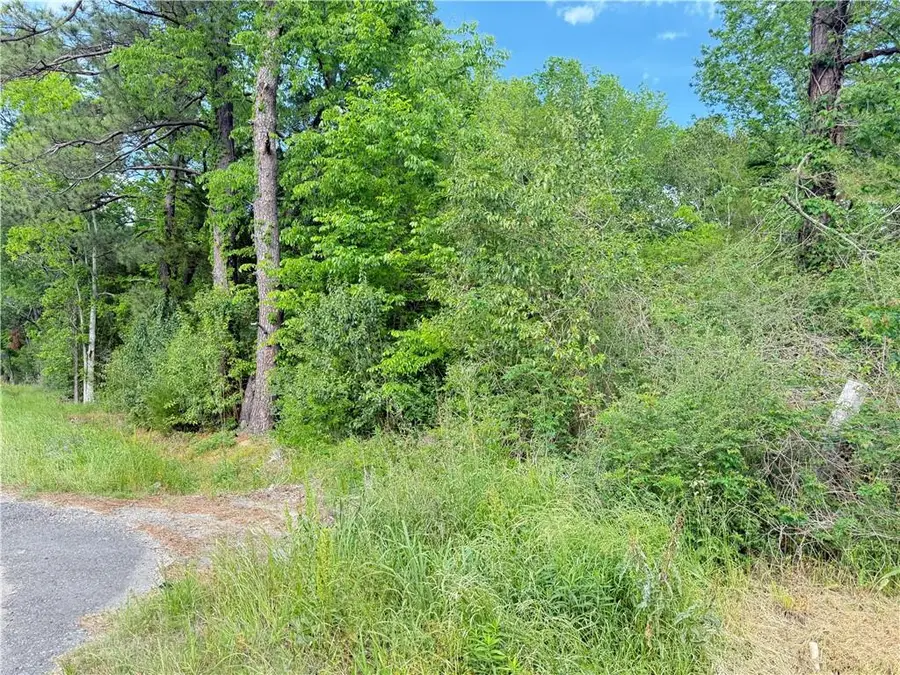 850 Highway 453 Highway, Marksville, LA 71351 - #3