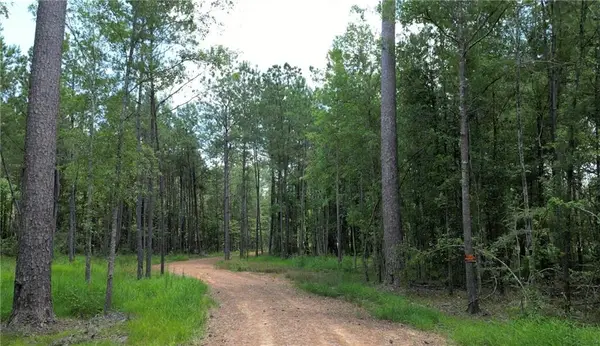 35072 La-43 Highway, Independence, LA 70443