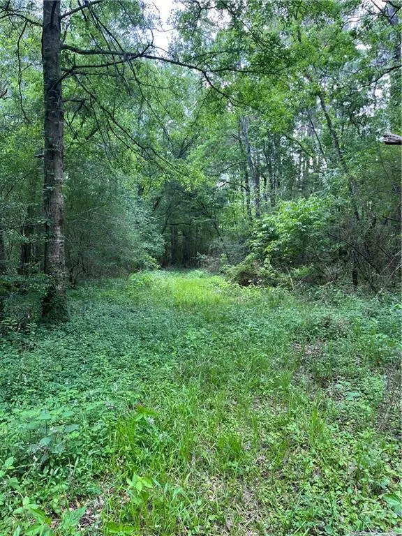 Passman Rd Road, Loranger, LA 70446