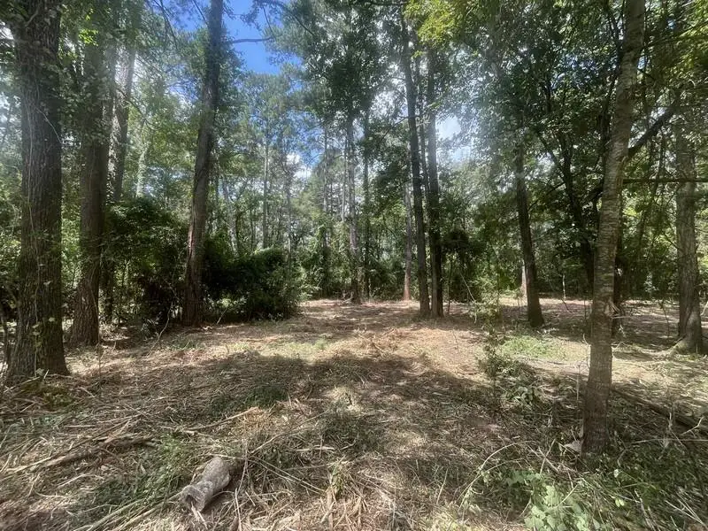 0 Spring Creek Drive, Pineville, LA 71360 - #2