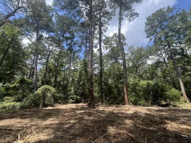 0 Spring Creek Drive, Pineville, LA 71360 - #3