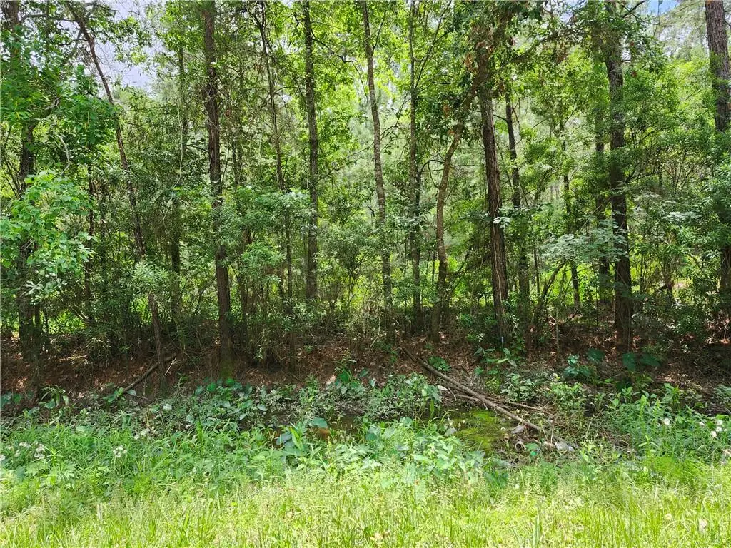 791 Buck Run, Pearl River, LA 70452 - #1