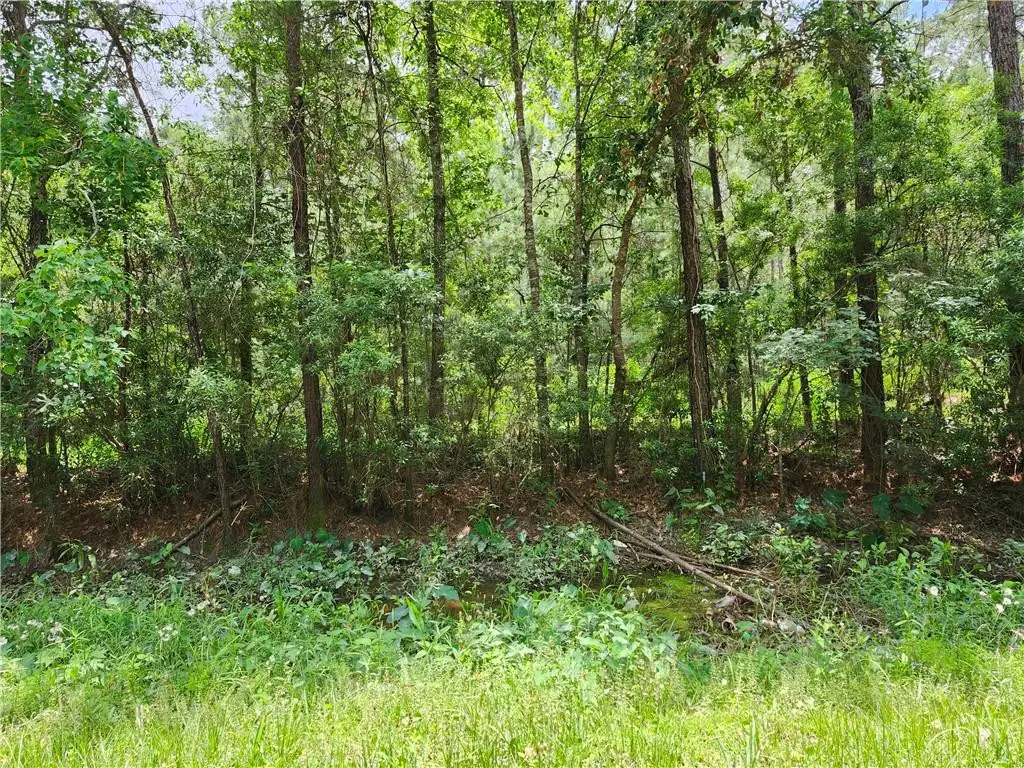 72434 Dahlia Street, Covington, LA 70435 - #1