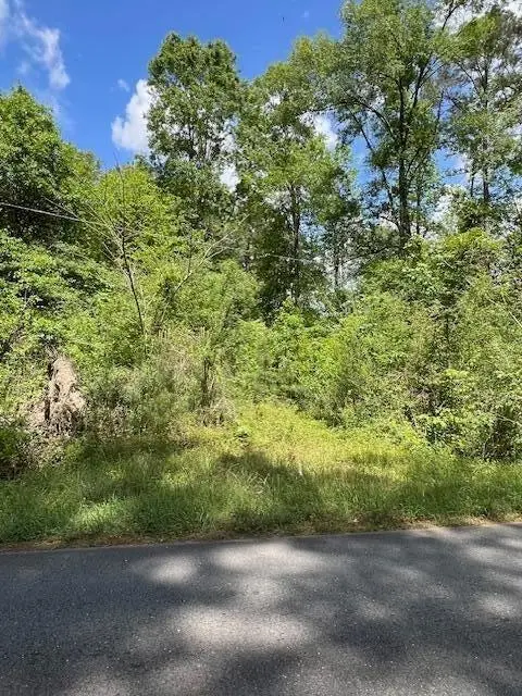 TBD Jeane Chapel Road, Leesville, LA 71446 - #2