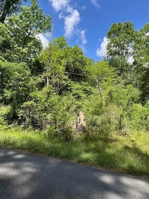 TBD Jeane Chapel Road, Leesville, LA 71446 - #3