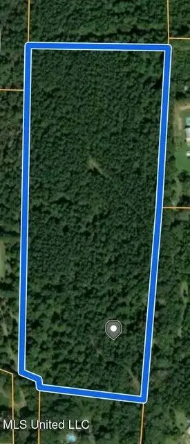 Hwy 438, Franklinton, LA 70438 - #3