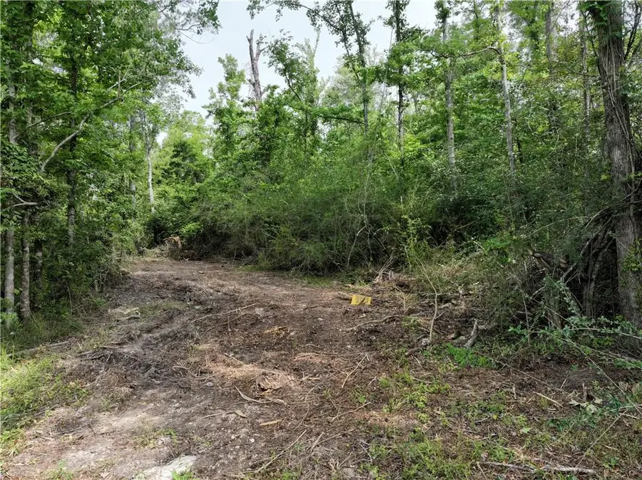Shadow Lake Drive, Holden, LA 70744 - #2