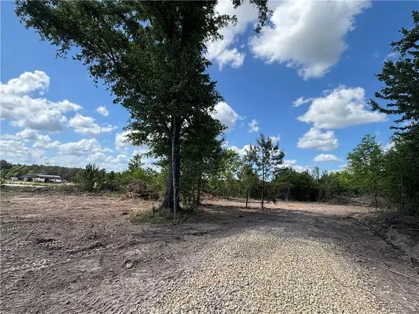 23305 Charles Drive, Robert, LA 70455