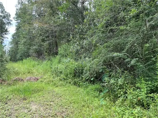 000 Charlie Street, Covington, LA 70433