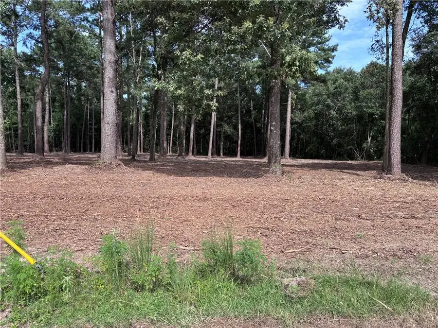 133 Robin Hood Drive, Hammond, LA 70403 - #3