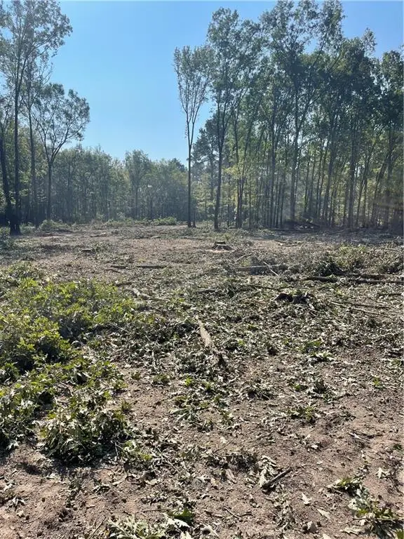 Pete Slaughter Road, Coushatta, LA 71019 - #1