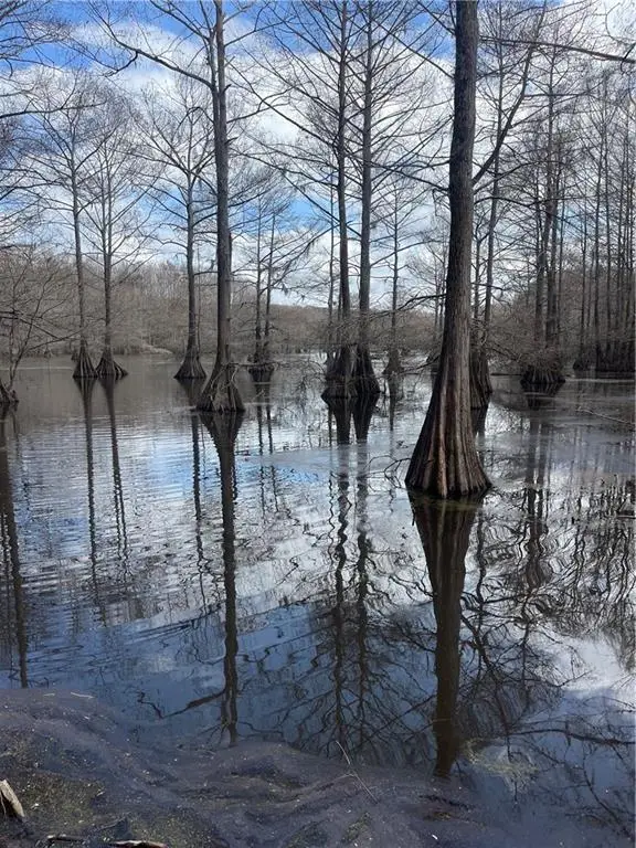 Pete Slaughter Road, Coushatta, LA 71019 - #2