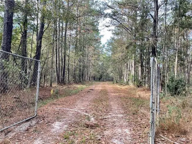 37285 Dummyline Road, Pearl River, LA 70452 - #2