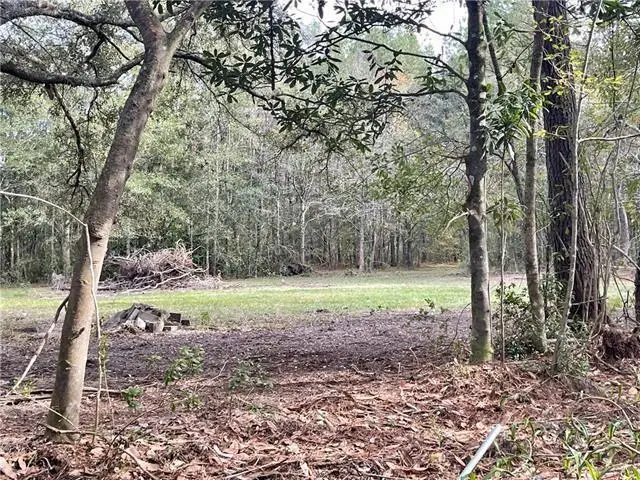 37285 Dummyline Road, Pearl River, LA 70452 - #3