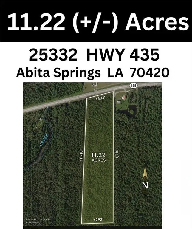25332 Hwy 435 Highway, Abita Springs, LA 70420 - #1