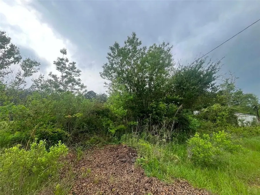 1231 Hooper Road, Pineville, LA 71360 - #2