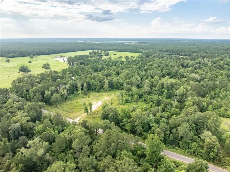 867 Claude Kelly Road, Deridder, LA 70634 - #3