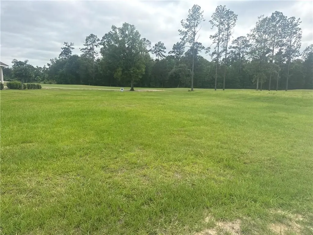 30684 Blue Wing Cresent, Springfield, LA 70462 - #1