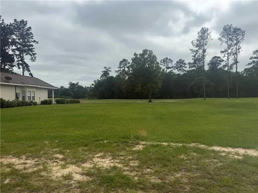 30684 Blue Wing Cresent, Springfield, LA 70462 - #2