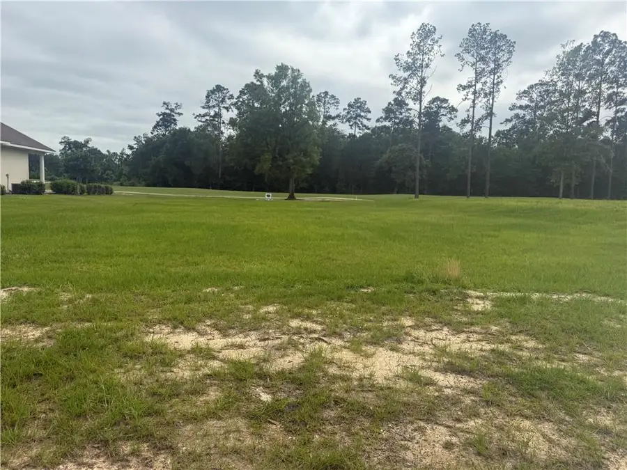 30684 Blue Wing Cresent, Springfield, LA 70462 - #3