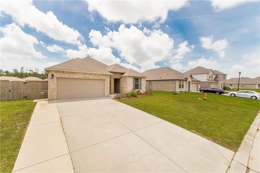 24238 Conservation Way Avenue, Ponchatoula, LA 70454 - #2