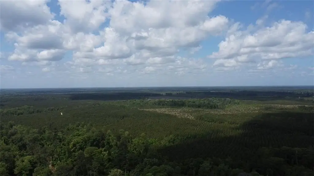 26331 Satsuma Road, Livingston, LA 70754 - #1