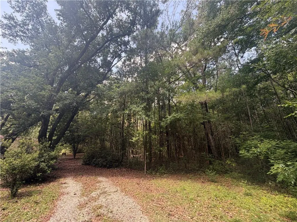37196 W Powerline Street, Pearl River, LA 70452 - #1