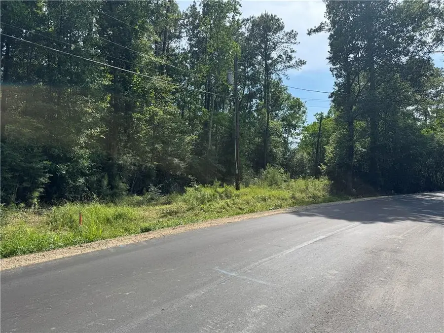 Tract 1-D Lower Rome Road, Springfield, LA 70462 - #3