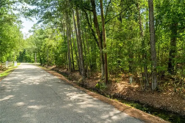 000 Chills Blue Springs Road, Hammond, LA 70401