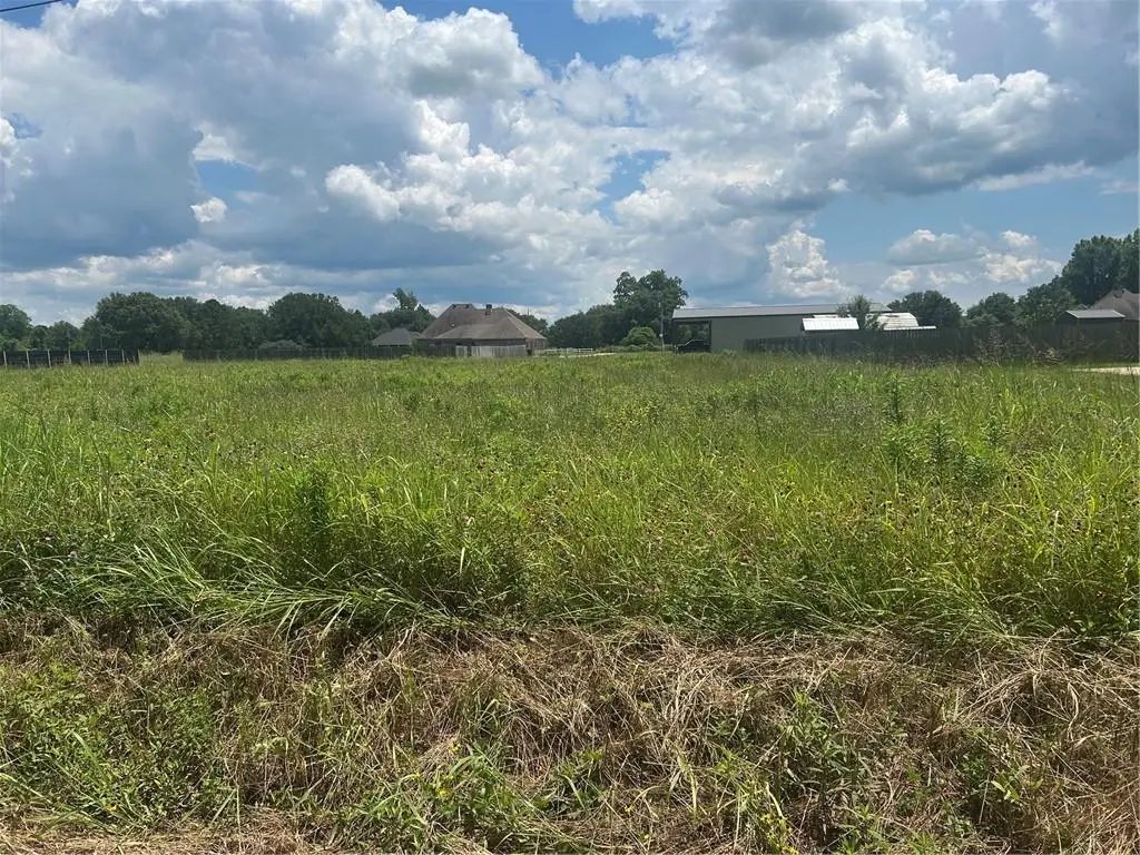 Lot 12 Gladys Drive, Alexandria, LA 71303 - #1