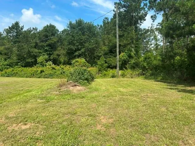 466 Highway 486 Highway, Campti, LA 71411 - #3