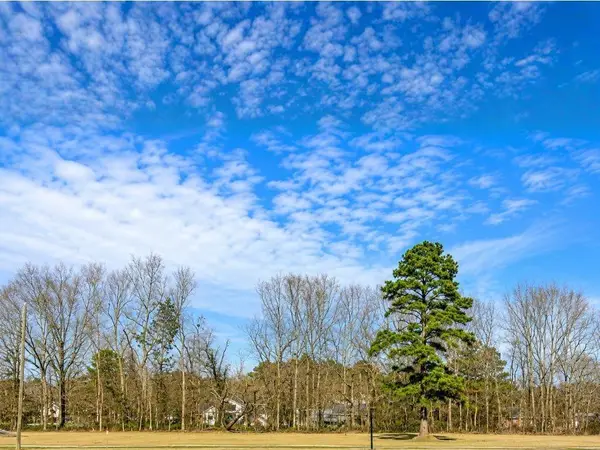 44068 Mary Singletary Road, St Amant, LA 70774