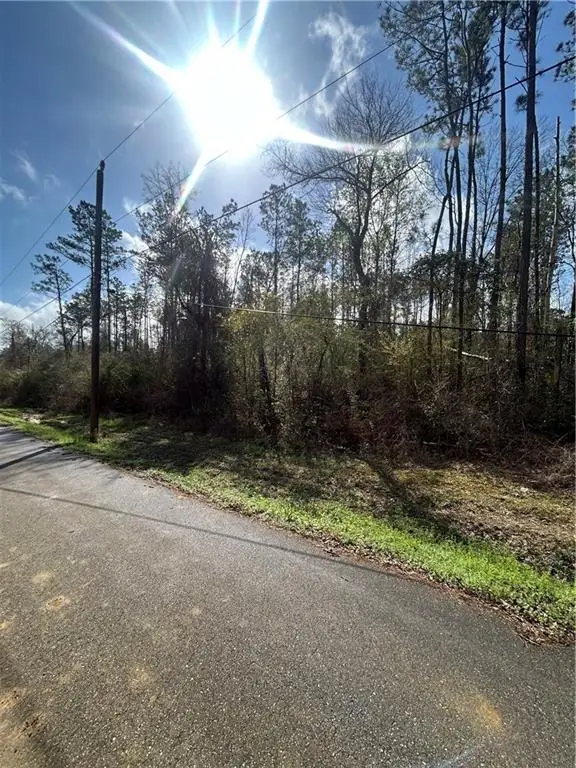 TBD Chapmen Rd Road, Loranger, LA 70446 - #1