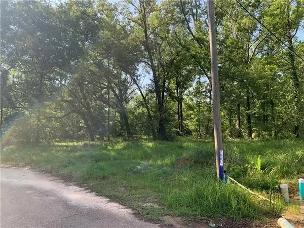 TBD Tina Drive, Hammond, LA 70401