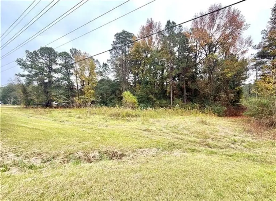 0 Hwy 28 E Road, Pineville, LA 71360 - #3