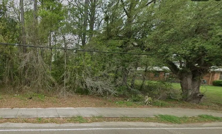 TBD Martin Luther King, Jr. Drive, Hammond, LA 70401 - #3
