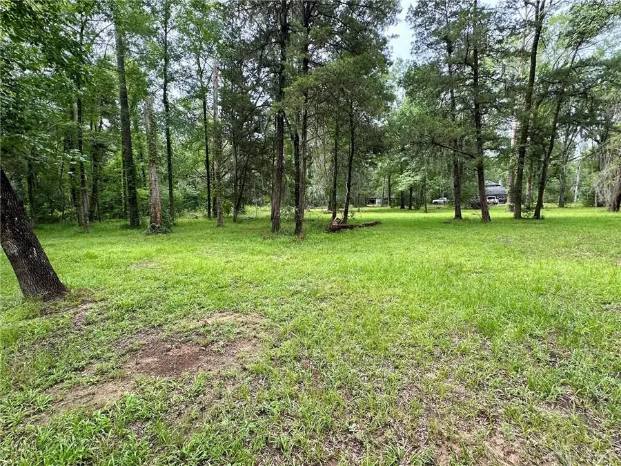 774 Claudes Road, Colfax, LA 71417 - #3