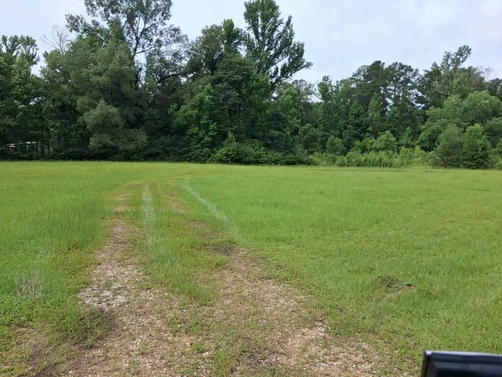 1307 Brinks Lane, Ball, LA 71405 - #1