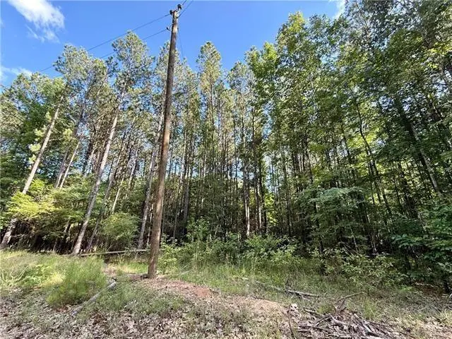 0 Hwy 771 Highway, Olla, LA 71465 - #1