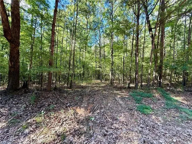 0 Hwy 771 Highway, Olla, LA 71465 - #3