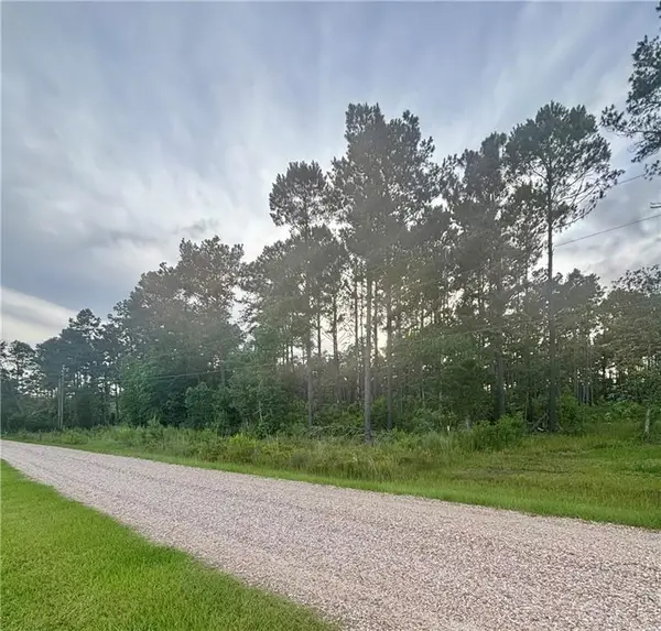 28019 Etta Blount Road, Albany, LA 70711