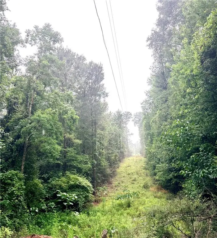 4.464 Acres Pleasant Hill Road, Mount Hermon, LA 70450 - #2
