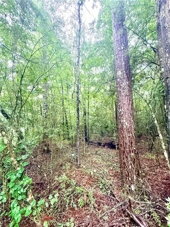 4.464 Acres Pleasant Hill Road, Mount Hermon, LA 70450 - #3