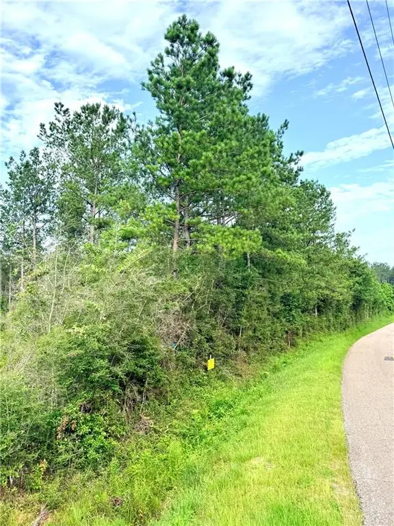 Lot1-A 5ac Lee Road, Franklinton, LA 70438 - #1