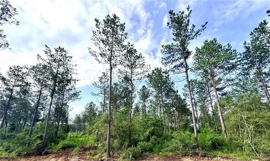 Lot2-A 4.42ac Lee Road, Franklinton, LA 70438 - #2